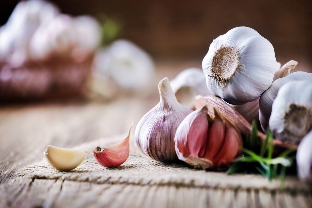 Men's Health Benefits Can Be Derived From Garlic