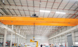 eot crane manufacturer in delhi