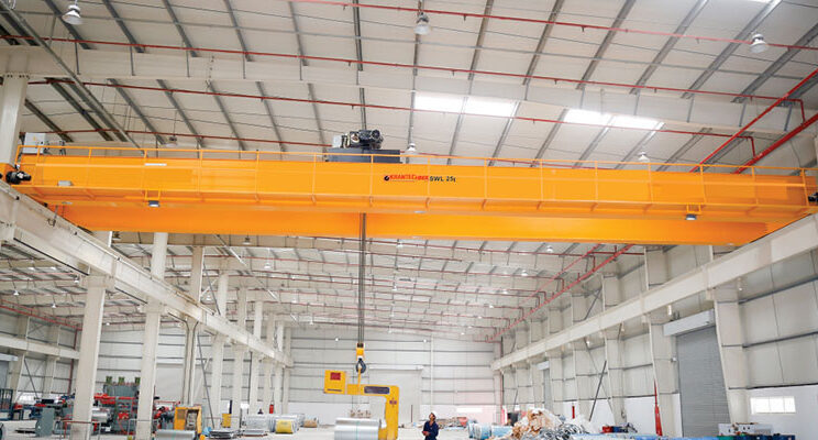 eot crane manufacturer in delhi